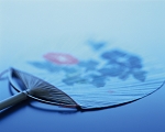 da038008s.jpg