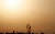 hirai0033_16801050.jpg